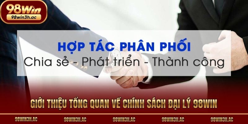Giới thiệu tổng quan về chính sách đại lý 98win
